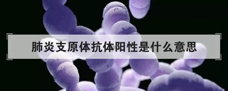 肺炎支原体抗体阳性是什么意思