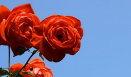 送女孩子什么礼物好？