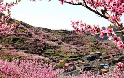 去年今日此门中人面桃花相映红这句话的含义是什么