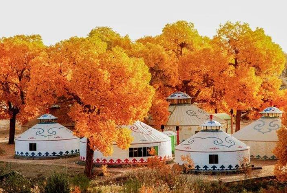 阿拉善属于哪个省份