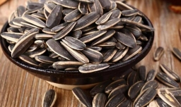 吃瓜子会不会上火