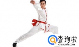 中国功夫的种类有哪些