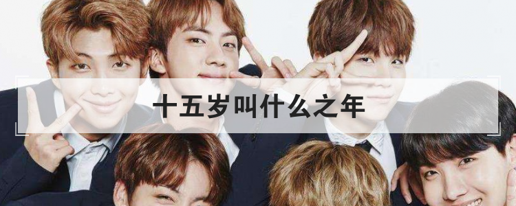 十五岁叫什么之年