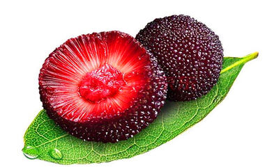 吃杨梅的好处和禁忌