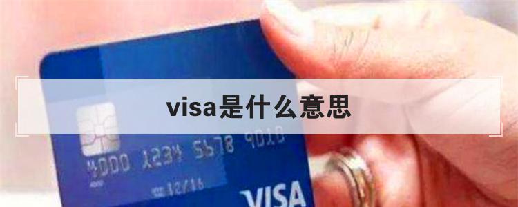 visa是什么意思