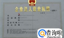 公司营业执照变更法人流程