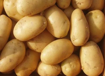 水壶里的水垢应该怎样去除