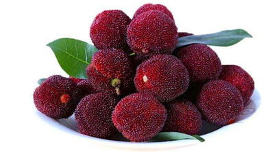 吃杨梅的好处和禁忌