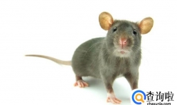 2018年各个属相的人需要注意些什么？