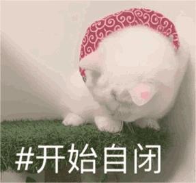 开始自闭是什么梗