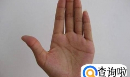 如何看待手掌心掌纹的三条主线？