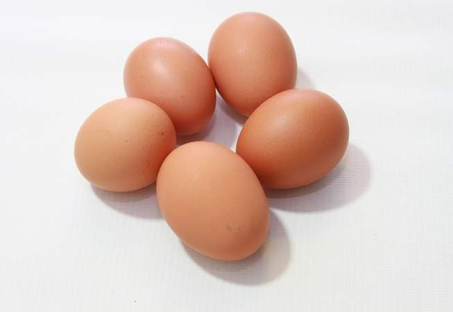 受精蛋和普通蛋区别在哪