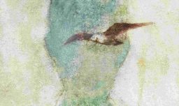 QQ钱包怎么提现？