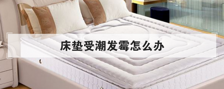 床垫受潮发霉怎么办