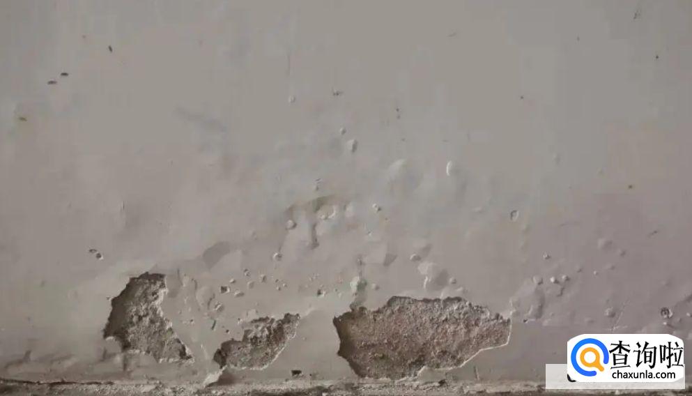 墙纸发霉撕掉后墙面如何处理