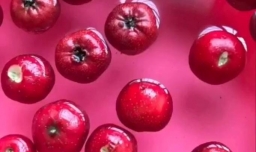 怎样自己在家做山楂罐头？