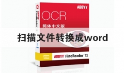 扫描文件转换成word