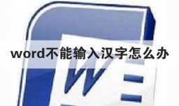 word不能输入汉字怎么办