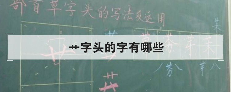 艹字头的字有哪些