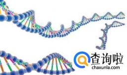 为什么男孩更容易得自闭症