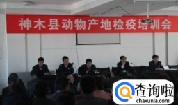 春运坐火车带宠物回家攻略