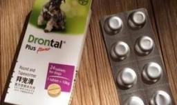 小狗肚子里有虫子怎么办