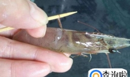 去虾线最简单的方法