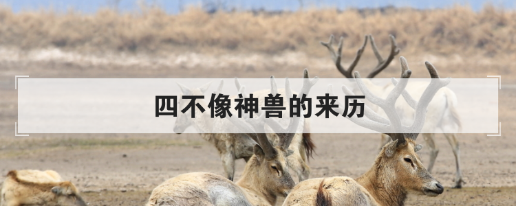 四不像神兽的来历