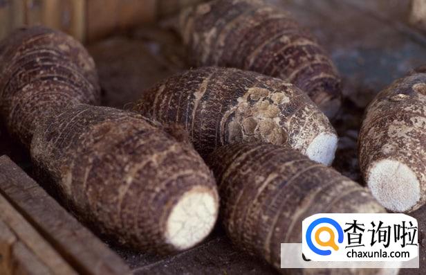 芋头可以治胃病吗