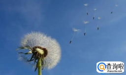 黄姓好听的寓意深刻男孩名字（建议收藏）