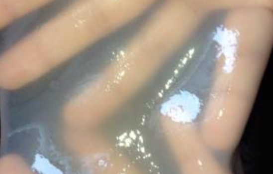 山芋粉做凉皮的做法