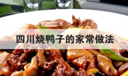 四川烧鸭子的家常做法