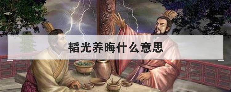 韬光养晦什么意思