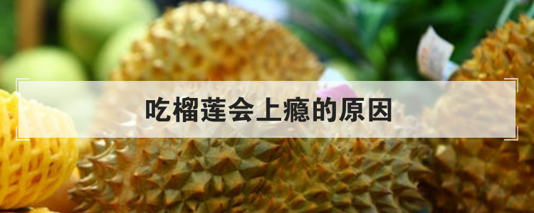 吃榴莲会上瘾的原因