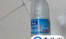 多肉如何利用水培法叶插繁殖