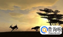 丛林法则和社会规范矛盾吗