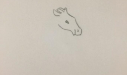 简笔画：生肖可爱马的画法