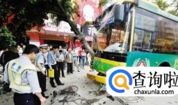 公交车撞死人该怎样赔偿