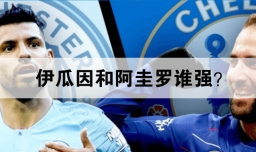 伊瓜因和阿圭罗谁强？