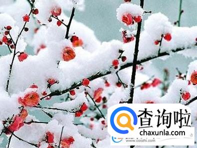 冬至是几月几日