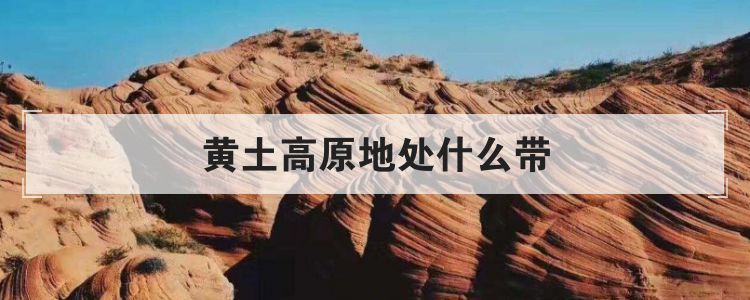 黄土高原地处什么带