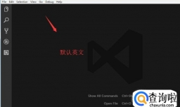 vscode设置中文语言