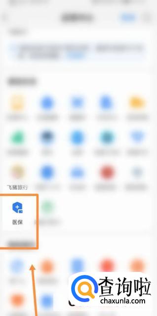 支付宝怎么进行医疗消费明细查询