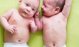 多胞胎是怎样形成的