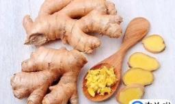 怎么能让眉毛变浓密