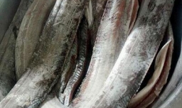 秘制糖醋带鱼的做法