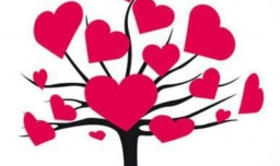 恐高症是属于心理问题or生理问题