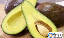 酪梨是什么水果