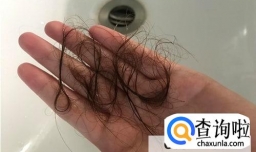 吹风筒对头发发质的损伤