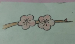 简笔画梅花怎么画？